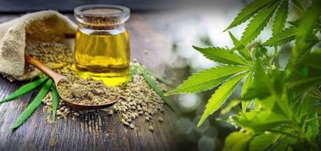 Le cannabidiol en 2020